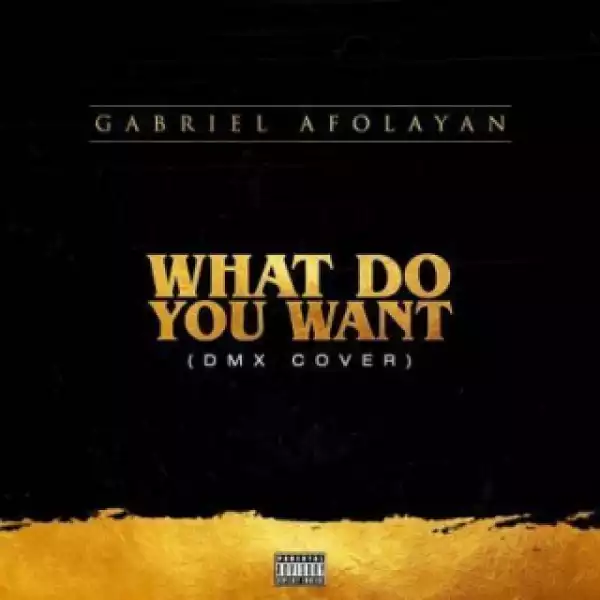 Gabriel Afolayan - What Do You Want [DMX x Sisqo